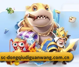 懂球帝的故事（dqd）